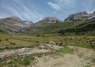 Aísa da nombre a uno de los valles más bellos y desconocidos del Pirineo aragonés. Abierto a través del río Estarrún, afluente del Aragón, se inserta en una amplia banda de suelos pardos calizos forestales sobre flysch eoceno.